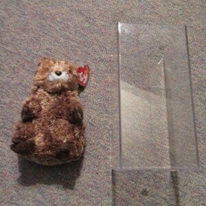 Punxsutawney Phil Groundhog Day 2002 Ty Beanie plus case